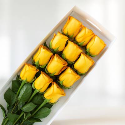 Caja de 12 Rosas Amarillas - Cajas - Por medio de este delicado diseño podrás expresar todo tu amor y afecto a tu ser querido, regala esta linda caja con 12 rosas amarillas y follajes verdes y demuéstrale lo importante que es para ti. La caja lleva su respectiva tapa. Sugerimos que acompañes este diseño con chocolates, peluches o vinos para hacer aún más especial tu detalle, en el siguiente paso de la compra puedes agregar a tu orden estos productos si lo deseas. - Floresco