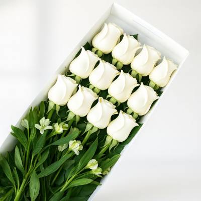 Caja de 12 Rosas Blancas - Cajas - Por medio de este delicado diseño podrás expresar todo tu amor y afecto a tu ser querido, regala esta linda caja con 12 rosas blancas y follajes verdes y demuéstrale lo importante que es para ti. La caja lleva su respectiva tapa. Sugerimos que acompañes este diseño con chocolates, peluches o vinos para hacer aún más especial tu detalle, en el siguiente paso de la compra puedes agregar a tu orden estos productos si lo deseas. - Floresco