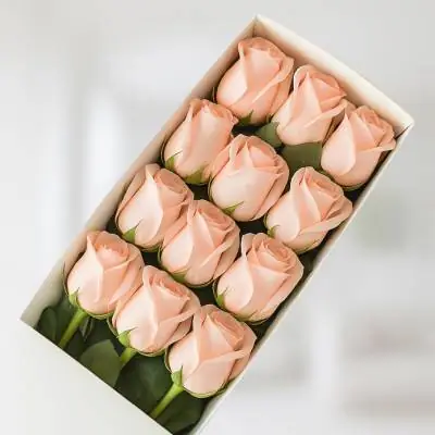 Caja de 12 Rosas Rosadas