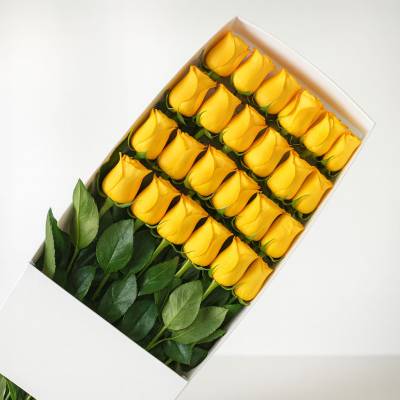Caja de 24 Rosas Amarillas - Cajas - Por medio de este delicado diseño podrás expresar todo tu amor y afecto a tu ser querido, regala esta linda caja con 24 rosas amarillas y follajes verdes y demuéstrale lo importante que es para ti. La caja lleva su respectiva tapa. Sugerimos que acompañes este diseño con chocolates, peluches o vinos para hacer aún más especial tu detalle, en el siguiente paso de la compra puedes agregar a tu orden estos productos si lo deseas. - Floresco
