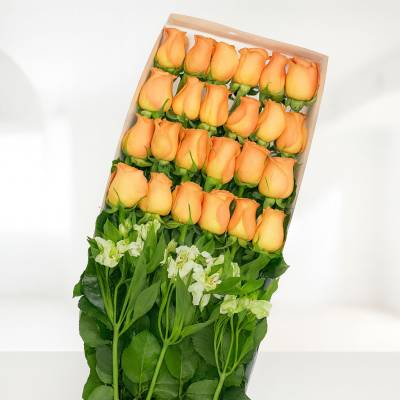 Caja de 24 Rosas Salmón - Cajas - Por medio de este delicado diseño podrás expresar todo tu amor y afecto a tu ser querido, regala esta linda caja con 24 rosas salmón y follajes verdes y demuéstrale lo importante que es para ti. La caja lleva su respectiva tapa. Sugerimos que acompañes este diseño con chocolates, peluches, globos o vinos para hacer aún más especial tu detalle, en el siguiente paso de la compra puedes agregar a tu orden estos productos si lo deseas. - Floresco