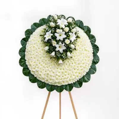 Corona Fúnebre Rosario - Fúnebres - Envía un mensaje de aliento y expresa tus condolencias a los familiares de ese ser fallecido, por medio de esta hermosa corona fúnebre que está elaborada con margaritas o pompones y aplique con 18 rosas blancas, azucenas o lirios blancos y follajes verdes. - Floresco