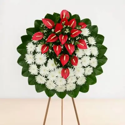 Corona Fúnebre Trinidad - Fúnebres - Expresa tus más sentidas condolencias a los familiares de ese ser que ha fallecido, enviado esta hermosa corona fúnebre, esta elaborada con fuyi o crisantemos blancos y aplique con anturios rojos y follajes verdes. - Floresco