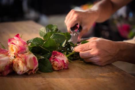 Como conservar las rosas cortadas y frescas